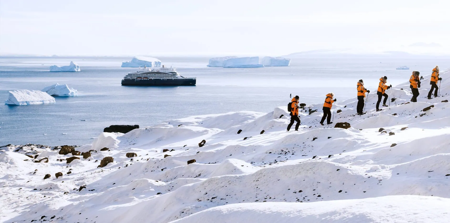 corporate incentives