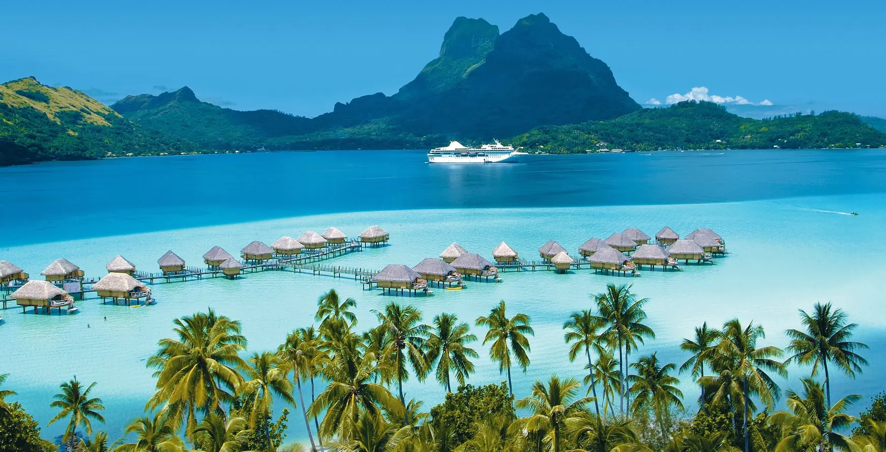 OceanEvent Cruise Specialists