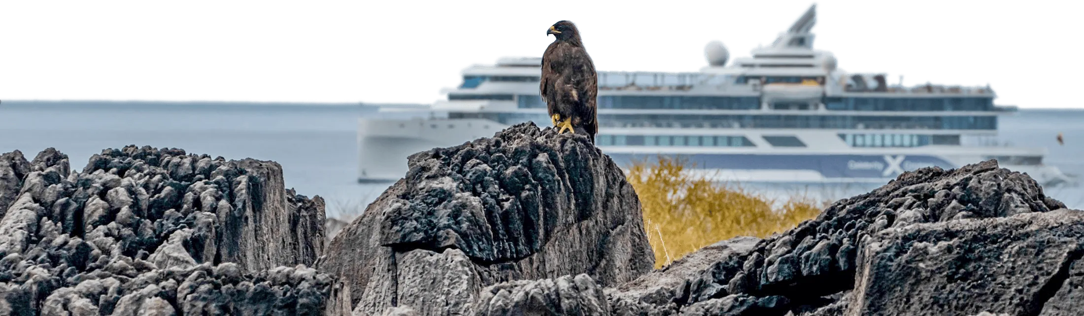 sustainable cruise ships