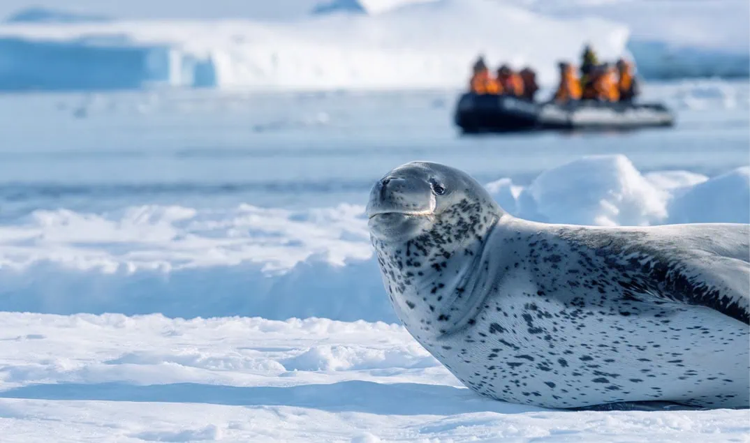 sustainable cruise ships