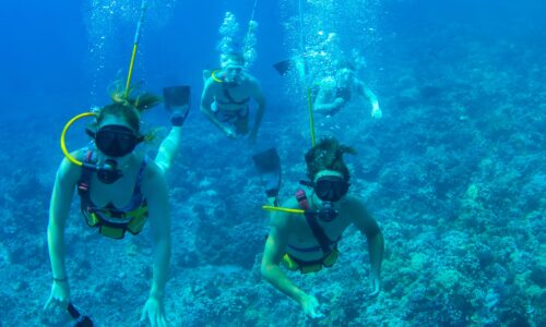 Cruise Charter for 176 Guests | With OceanEvent