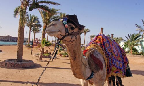 Private Yacht Cruises for Corporate and Private Events with OceanEvent