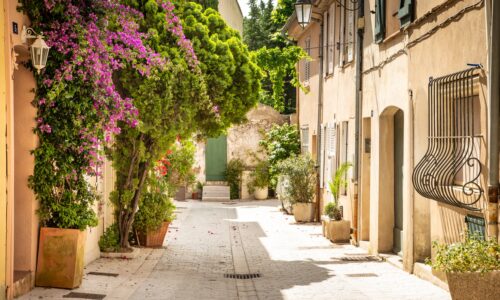 Cruise Charter for 176 Guests | With OceanEvent