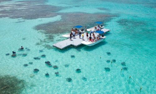 Family celebration on a cruise ship with OceanEvent