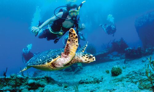 Charter a Luxury Discovery Yacht | With OceanEvent