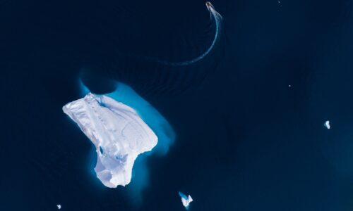 Expedition cruise in the Arctic and Antarctic for up to 184 guests | With OceanEvent