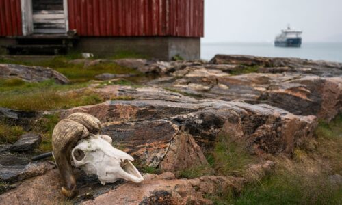 Expedition cruise in the Arctic and Antarctic for up to 184 guests | With OceanEvent