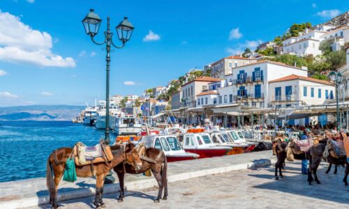 Kreuzfahrtschiff fuer bis zu 1200 Gaeste chartern bei OceanEvent